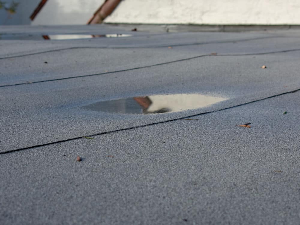 Ponding rainwater on flat roof after rain, roof drainage and leak problem. Roof settling or sagging is result of framing issues, rotten or saturated sheathing